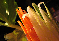 foods ��؃X�e�B�b�N��600